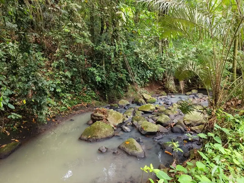 di Jual tanah kebun  murah los sungai dan view junggle   di bali