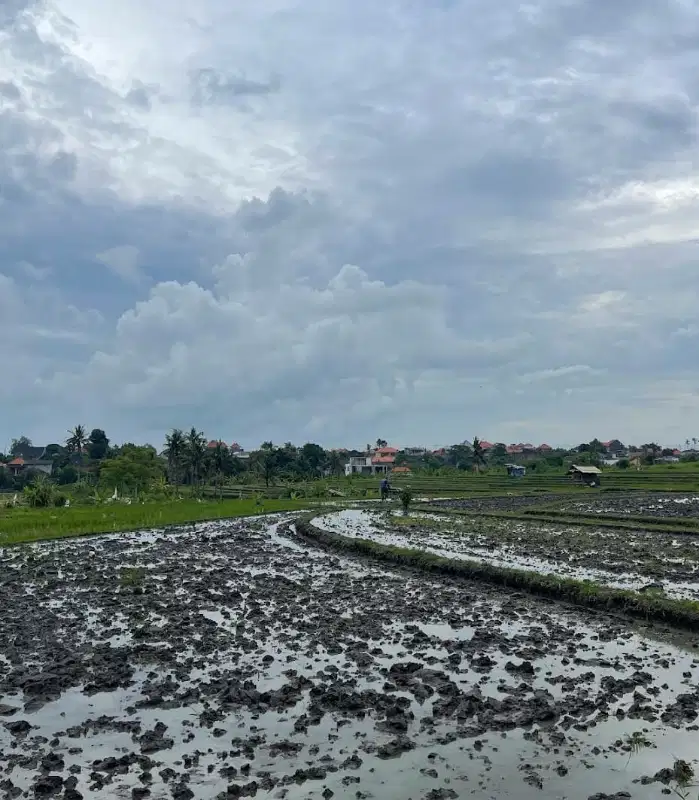 Di jual tanah Lokasi bukit banjarangkan klungkung