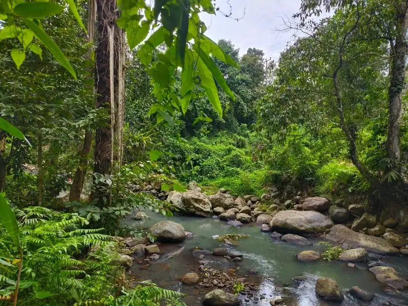 Dijual tanah murah los sungai  view  jungle di bali