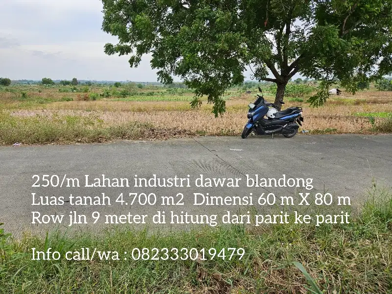 250/m Termurah Lahan industri dawar blandong