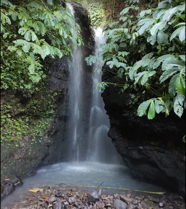 Tanah kavling kebun durian penebel Tabanan