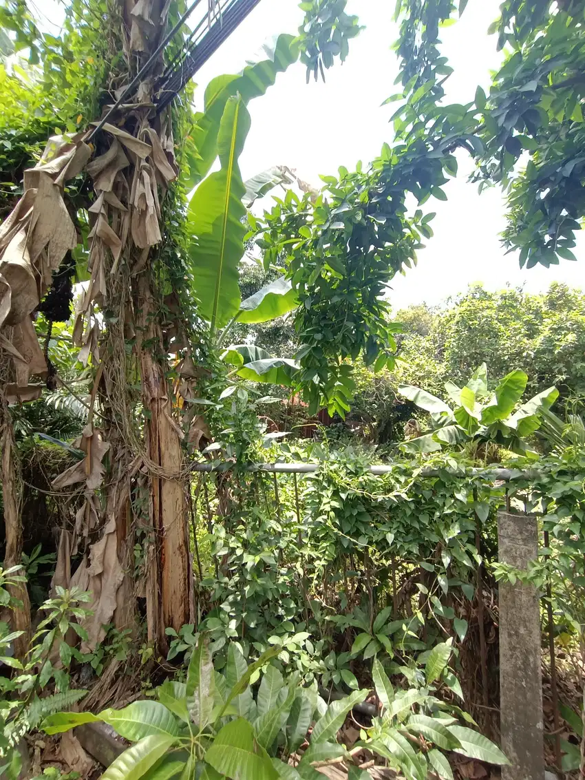 Tanah sewa di gunung malang Balikpapan