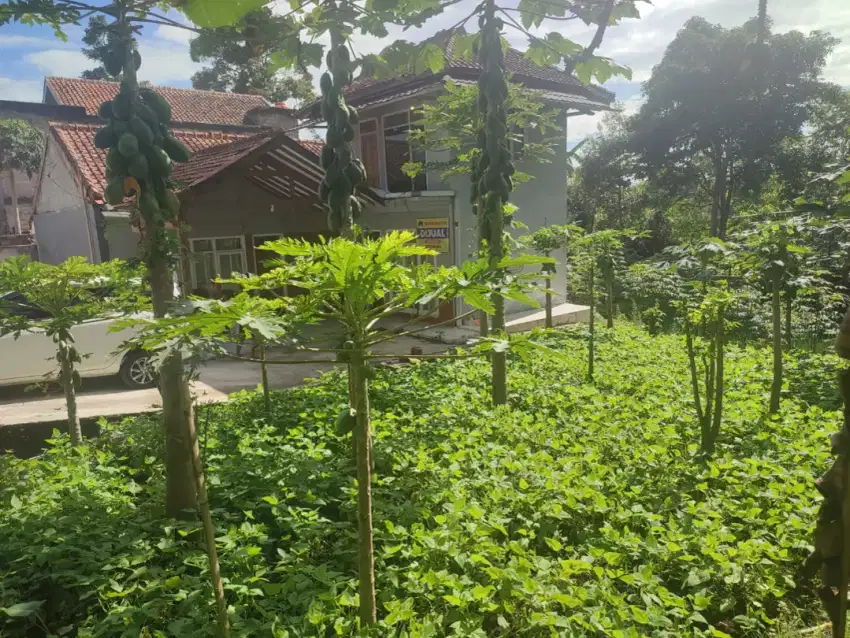 MURAH TANAH SHM DIPUNCLUT CIUMBULEUIT LEMBANG BANDUNG