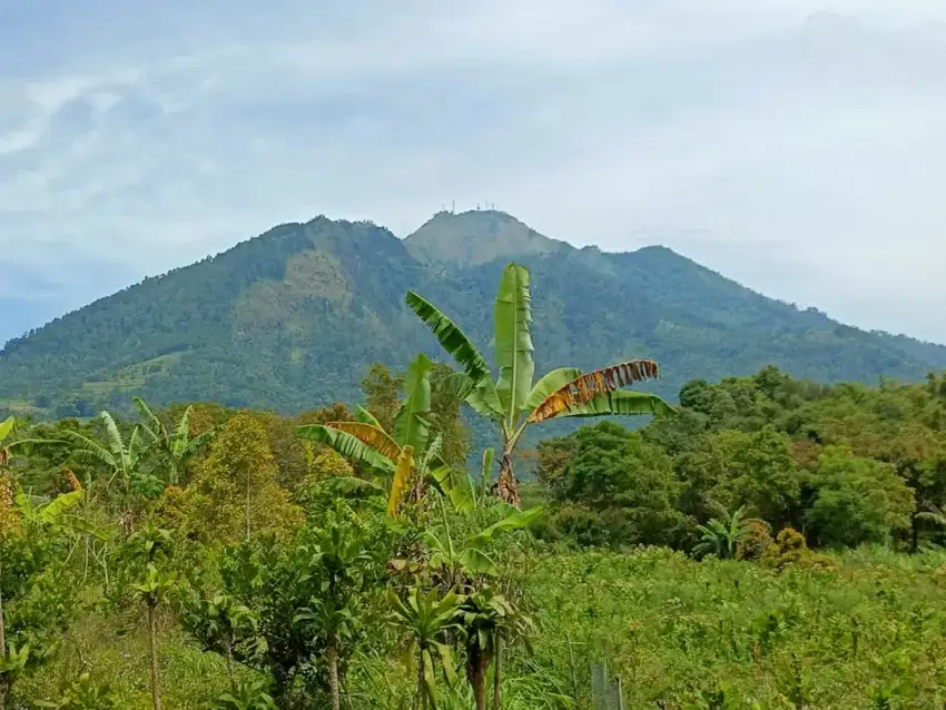 Tanah pekarangan/non pertanian