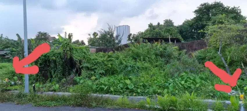 Tanah Jemursari Selatan Siap Bangun Padat Lebar Jalan 3 Mobil Paving