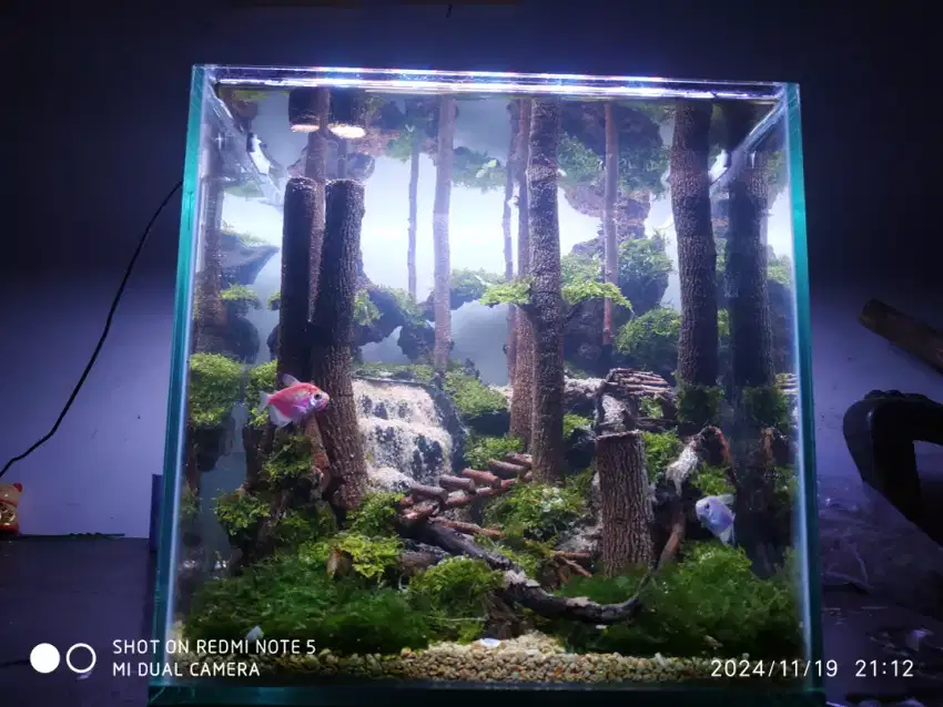 Aquarium Aquascape air terjun mini