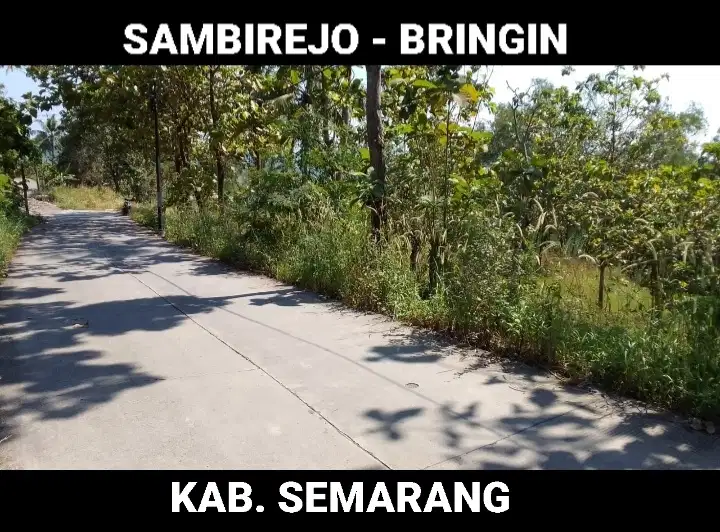 DIJUAL TANAH 2.937M2 SAMBIREJO BRINGIN KAB. SEMARANG