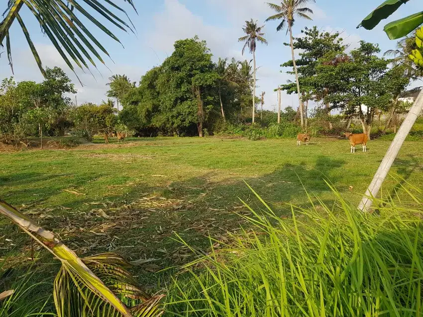 BUC 3 are Lingkungan Villa di Ketewel Gianyar Bali