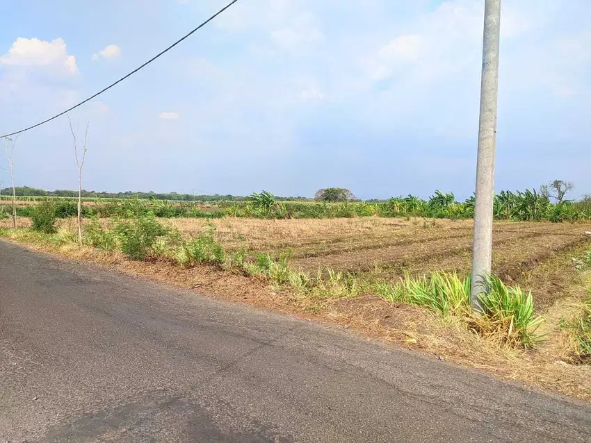 jual Tanah Sawah Jln Gondang sekoto desa sekoto kec badas kediri