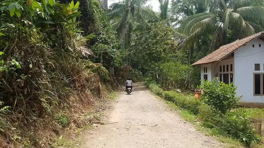 Tanah Dijual Di Cadasari Pandeglang nempel Jalan Perumahan BCI