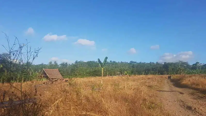 Cocok Untuk Kandang Ayam Tanah Murah Dijual Di Pandeglang Banten