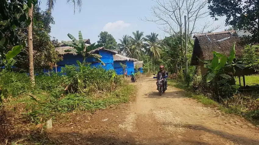 Dijual Tanah Kebun di Pandeglang bojong 4 Ha Cocok utk kandang ayam