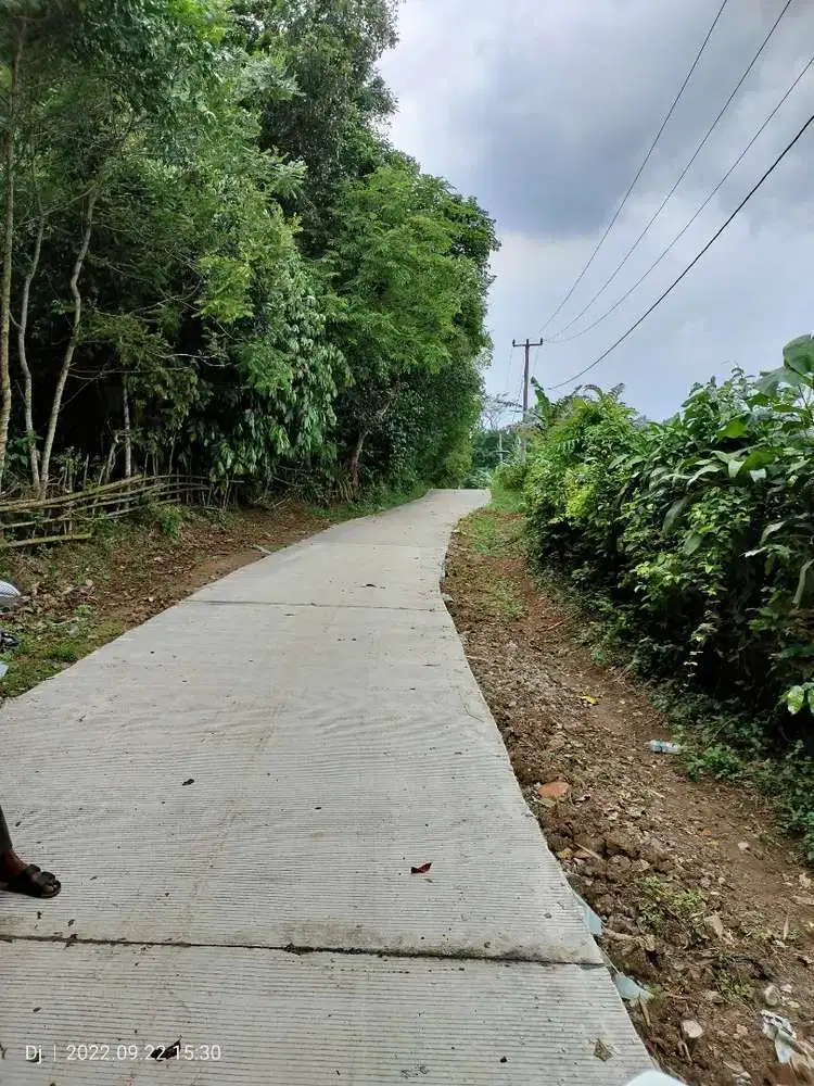 Tanah kebun Dijual di Serang cocok untuk kandang ayam 2 - 5 Ha