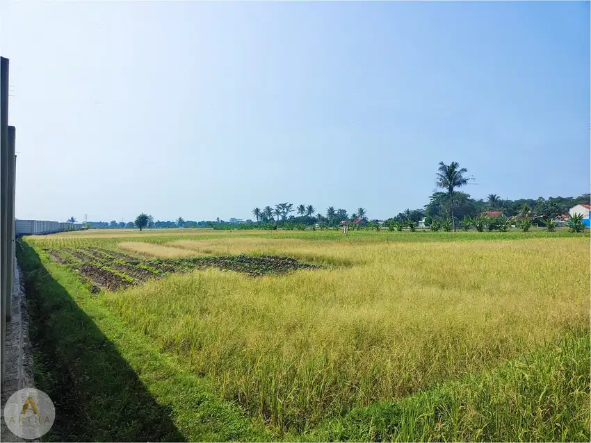 Dijual Tanah Luas Cocok  Perumahan atau Lahan Komersial di Cianjur