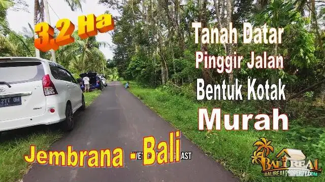 Lahan Perkebunan Dijual 3,5 Ha Siap Bangun area Jembrana