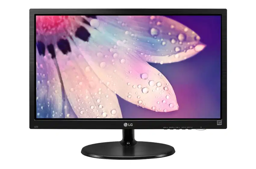 monitor lg 19m38L