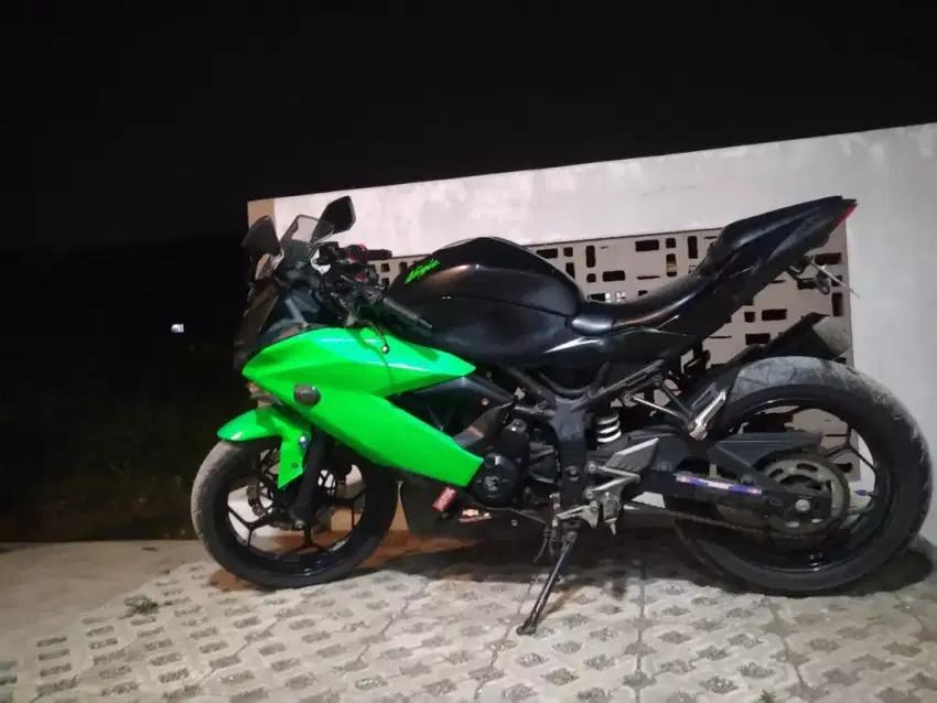 Kawasaki ninja rr mono250