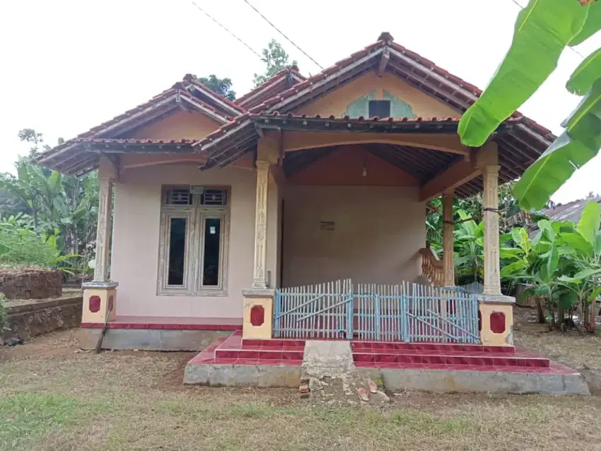 Rumah nyaman disewakan