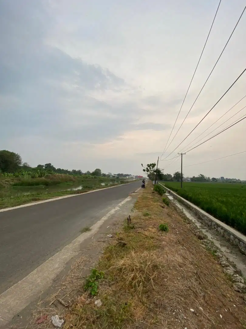 Tanah Sawah produktif Samping Jalan