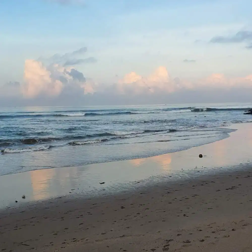 1. art harian (pulang pergi) dan art nginap (khusus ntt)