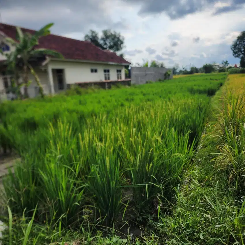 Dijual Tanah Lokasi Strategis