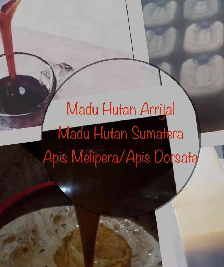 Madu Murni Asli 100% Tanpa Campuran