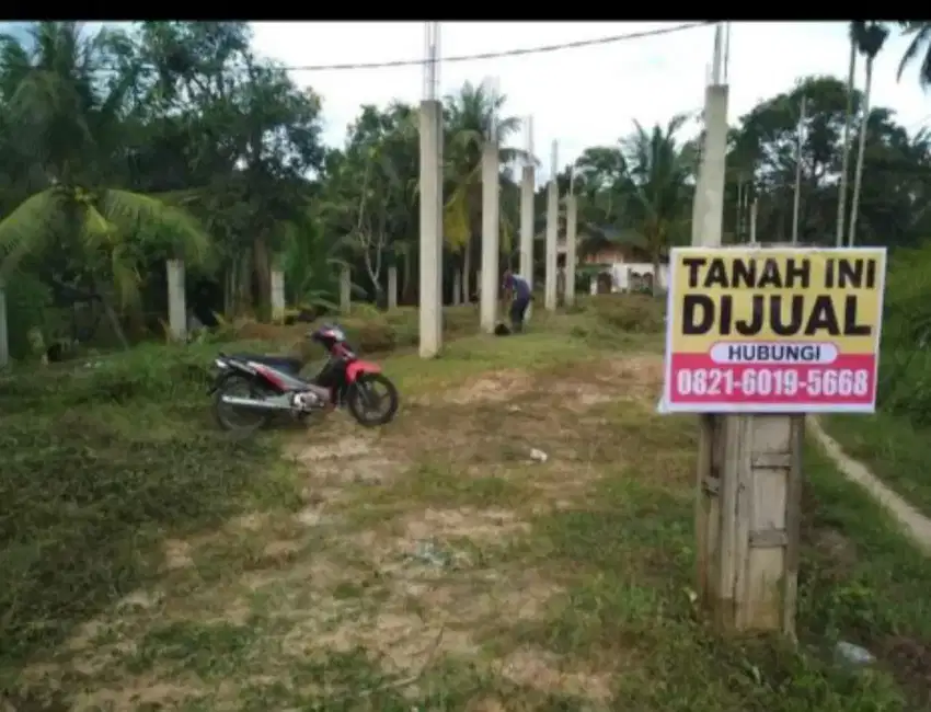 Tanah toko 12,5x40(satu rante lebih) jual murah