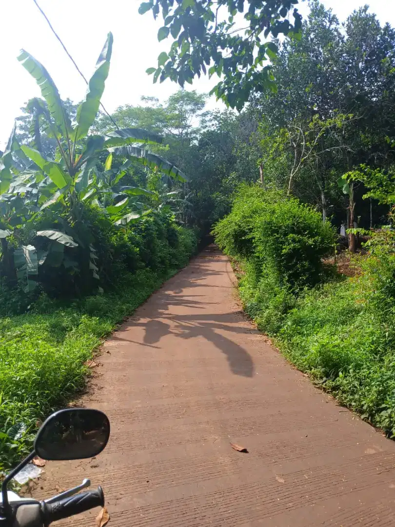 Dijual cepat tanah kebun dan Empang di dekat RSUD Cileungsi