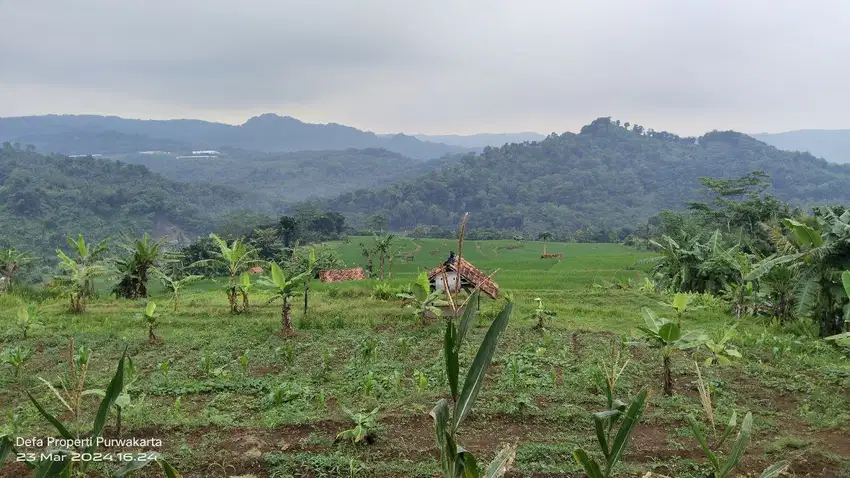 MENAKJUBKAN : AIR & PEMANDANGAN || SAWAH PRODUKTIF DI PURWAKARTA