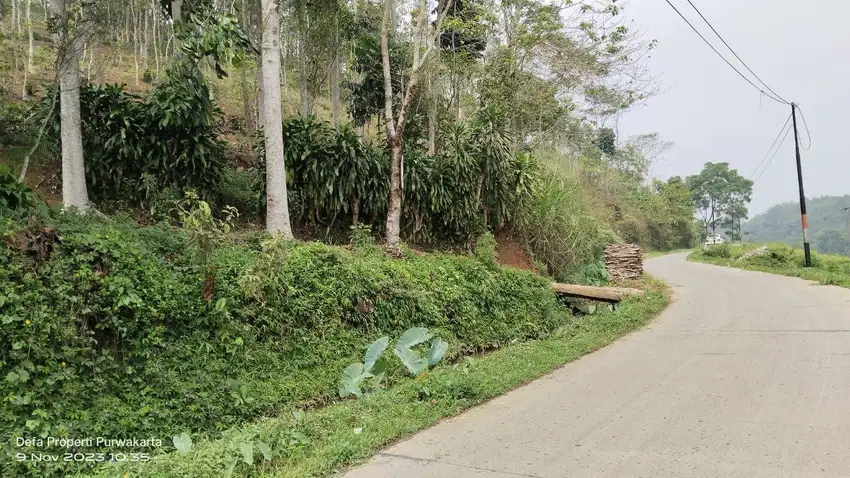 BUKIT PINUS, VIEW PEGUNUNGAN. AIR SUBUR UDARA SEJUK. Rp. 150 Rb/M²