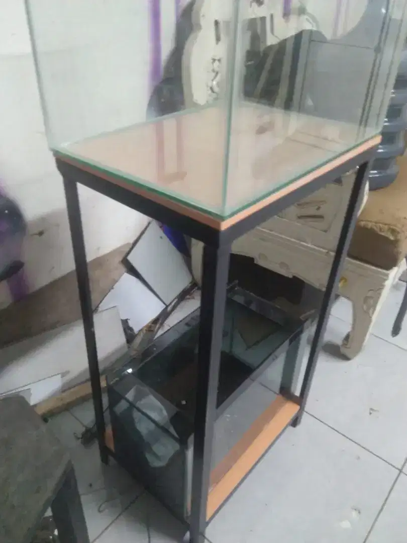 aquarium ukuran 60×40×40 dan 60×30×30cm tinggi meja 70cm lohan, arwana