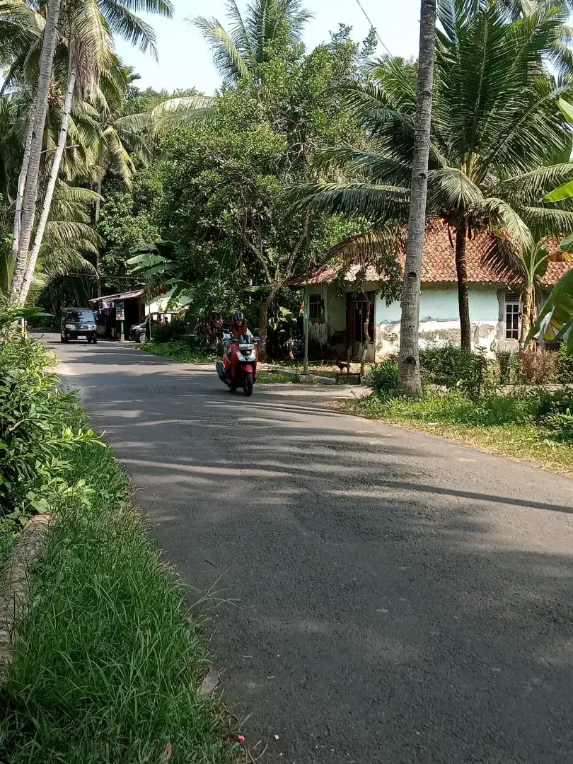 Tanah strategis di pinggir jalan utama antar kecamatan