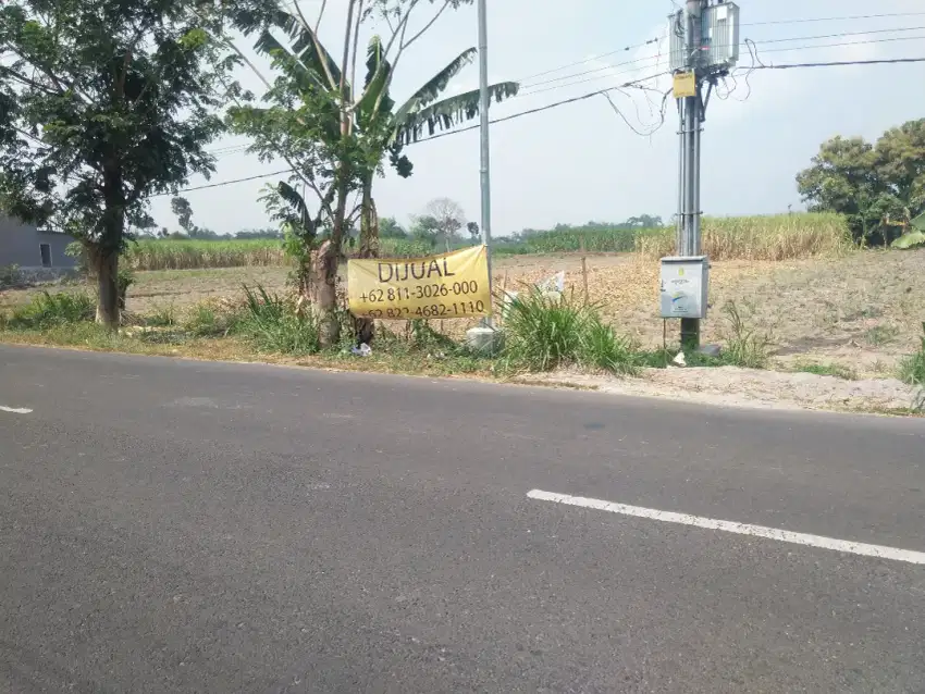 Bu tanah pekarangan plat kuning