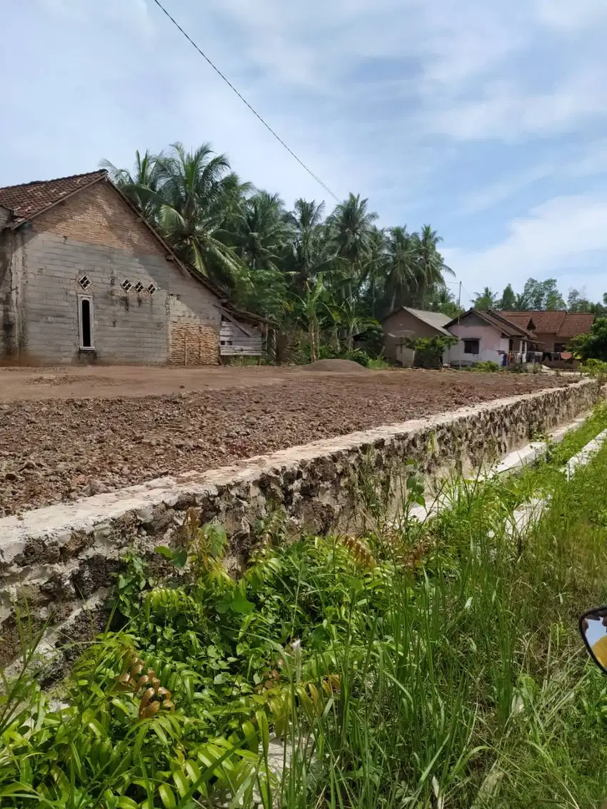 Tanah Murah Untuk Perumahan dan Usaha