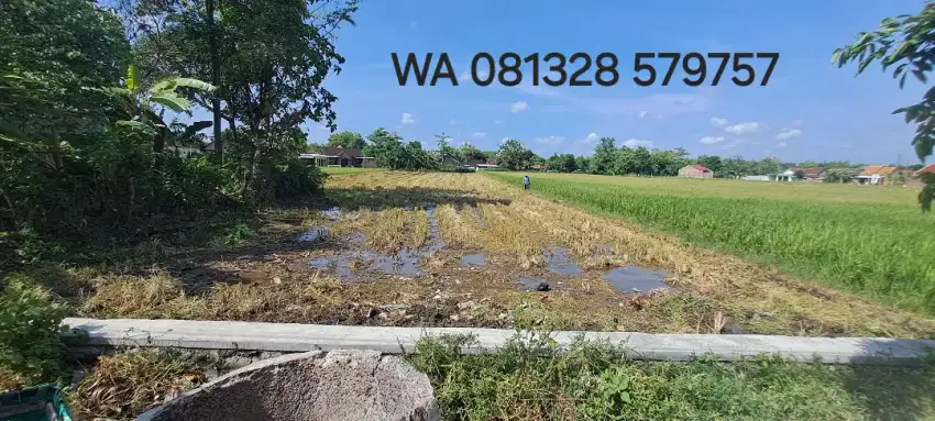 Turun Harga Dijual Sawah Zona Kuning