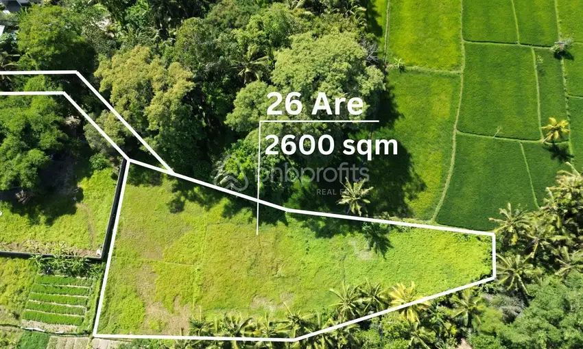 Exclusive 2600 sqm Land with Mesmerizing Rice Field Views BSLL195