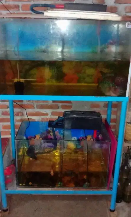 Di jual 1 set aquarium berserta rak mejanya