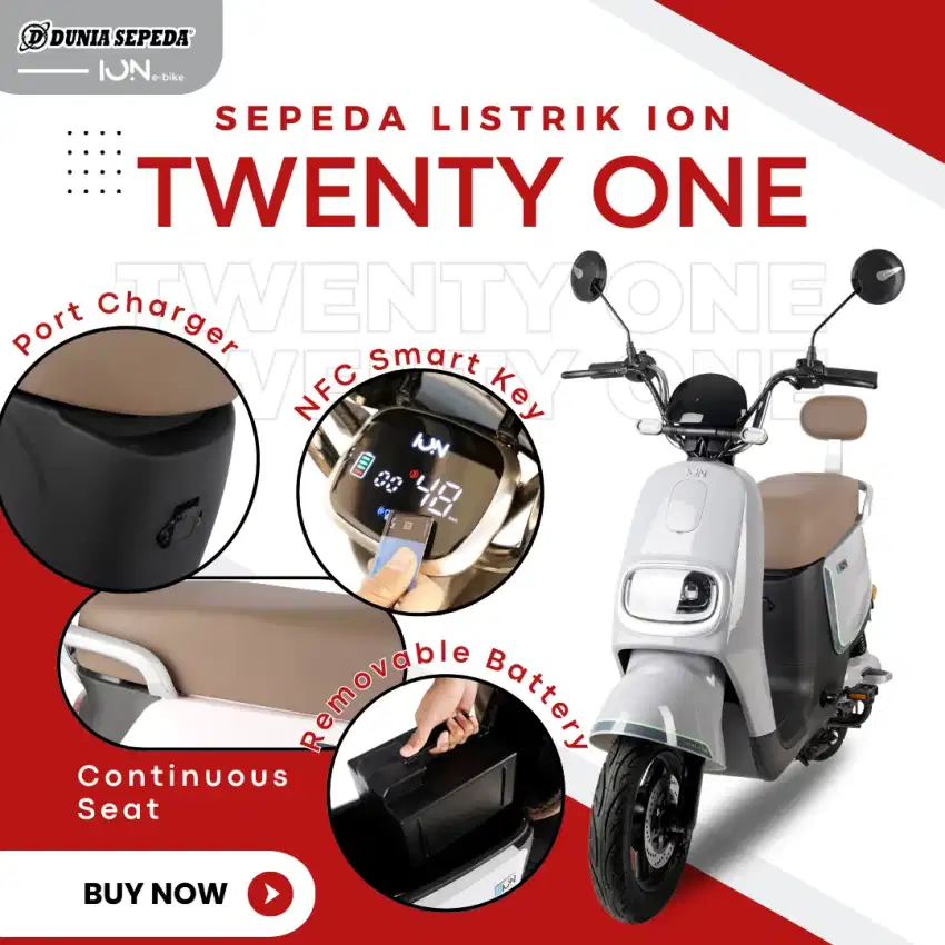 Promo Ebike Ion Twenty One Free Helm