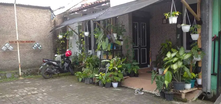 MURAH Rumah Konsep Tropis Minimalis, Dekat Pusat Kota Cianjur