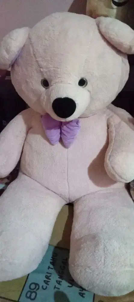 Boneka Teddy Jumbo