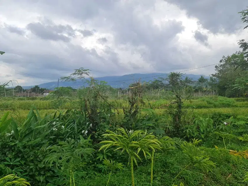 Tanah pekarangan murah pinggir jalan lawu karangpandan karanganyar