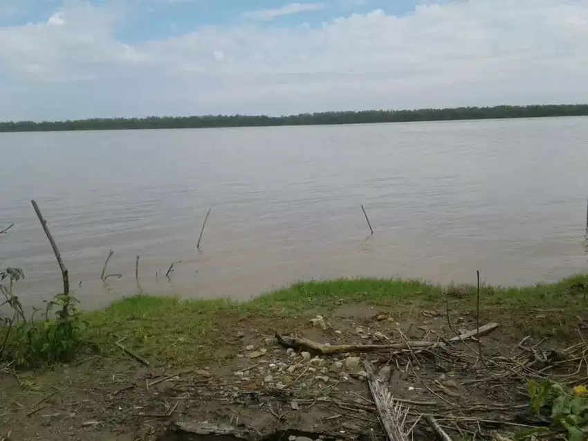 Lahan tepi sungai tanjung api api