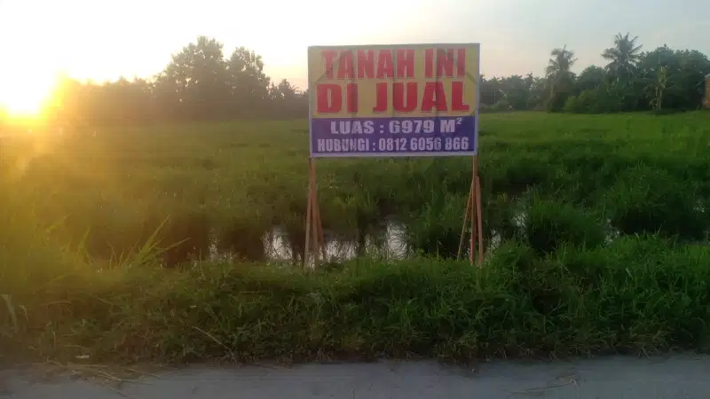 tanah sawah luas 6979m2 Harga Rp 450.000 perm2.Bisa nego