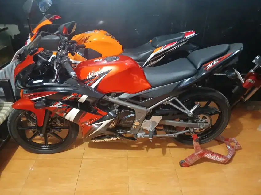 Kawasaki Ninja 150 Rr Type SE