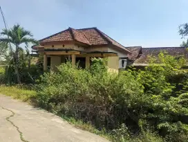 Beli tanah gratis rumah