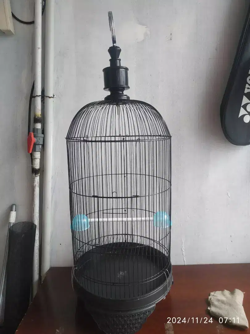 Kandang lovebird baru