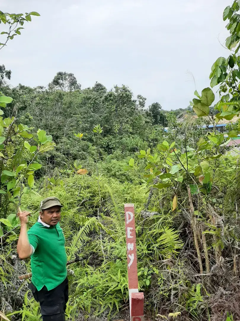 Lahan sblh kampus unpar kalimantan timur penajam ikn ibu kota negara