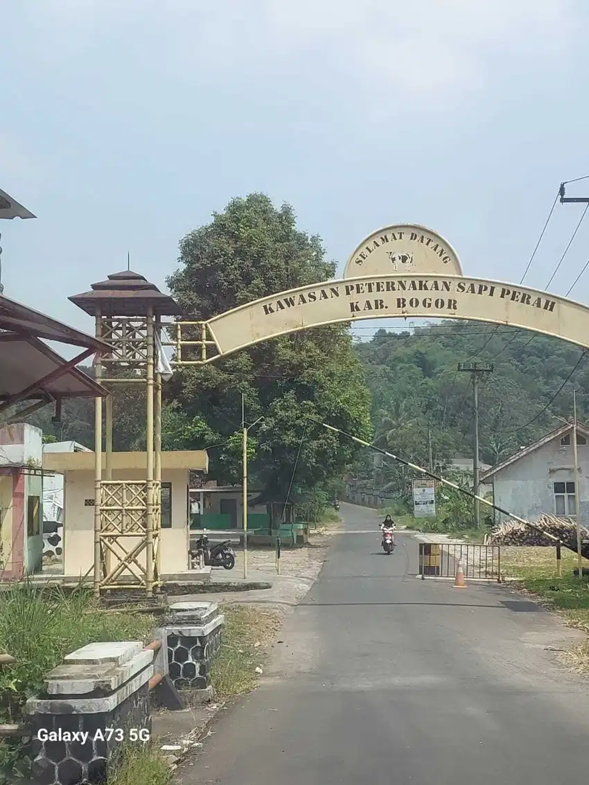 Lahan usaha peternakan dan villa