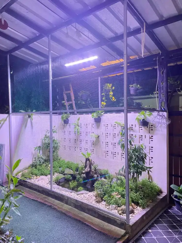 Kandang aviary bandung, kurung aviary bandung 2