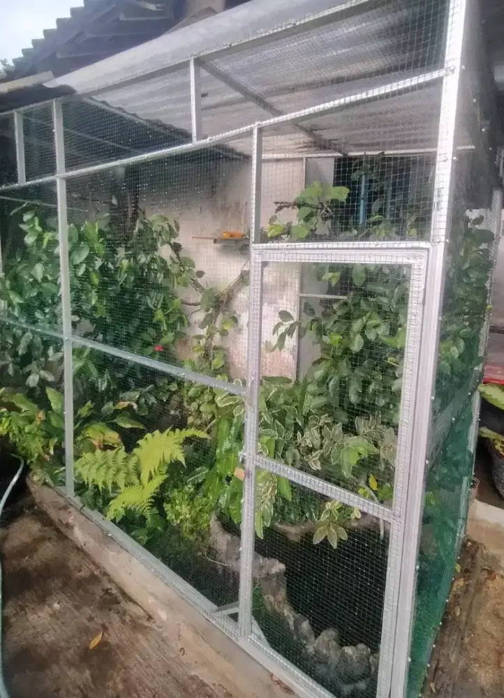 Kandang aviary bandung, kurung aviary bandung 4